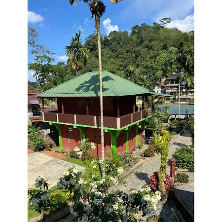 Rain Forest Guest House And Jungle Trekking Bukit Lawang Zewnętrze zdjęcie