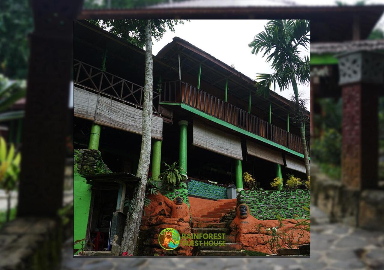 Rain Forest Guest House And Jungle Trekking Bukit Lawang Zewnętrze zdjęcie