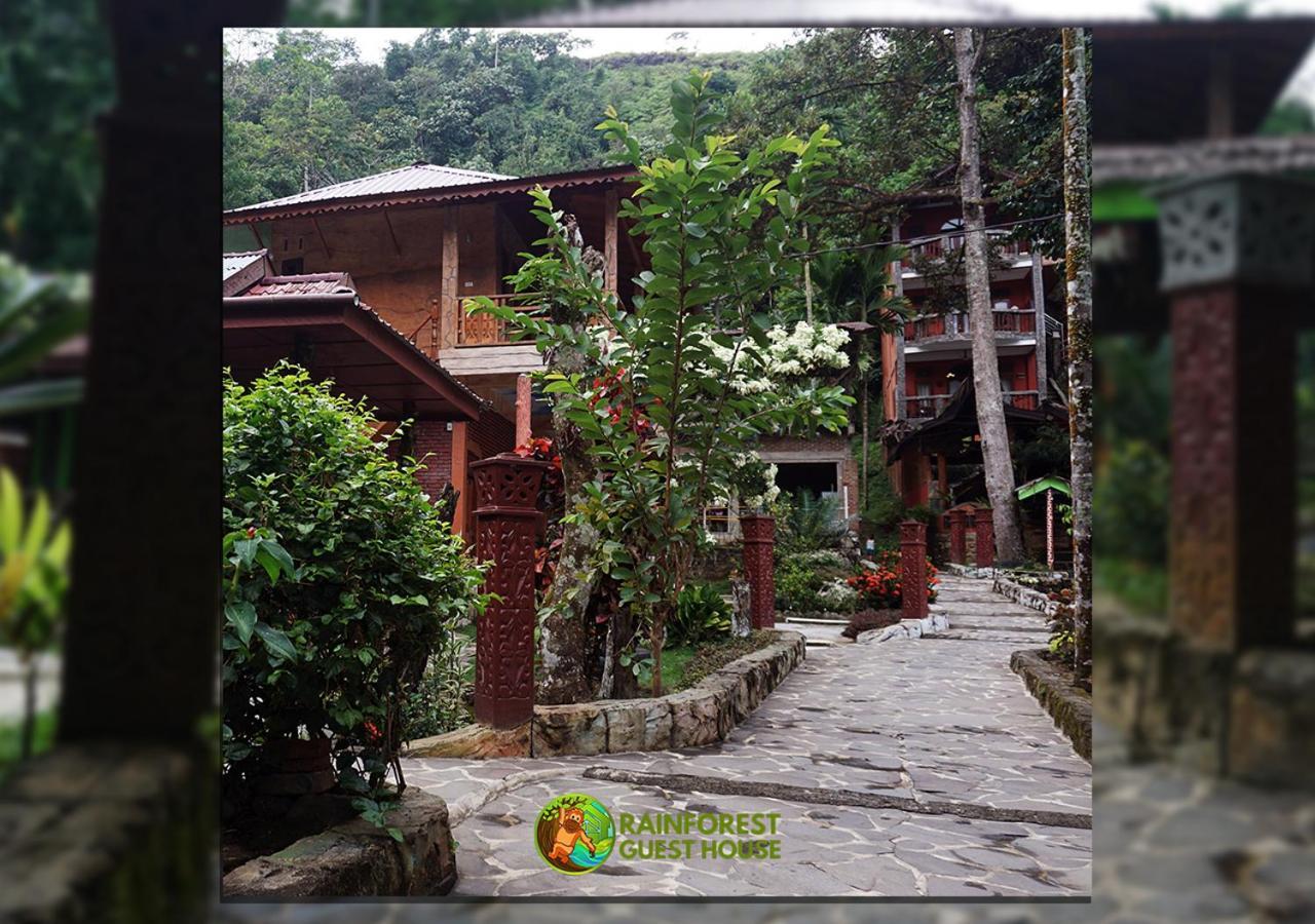 Rain Forest Guest House And Jungle Trekking Bukit Lawang Zewnętrze zdjęcie