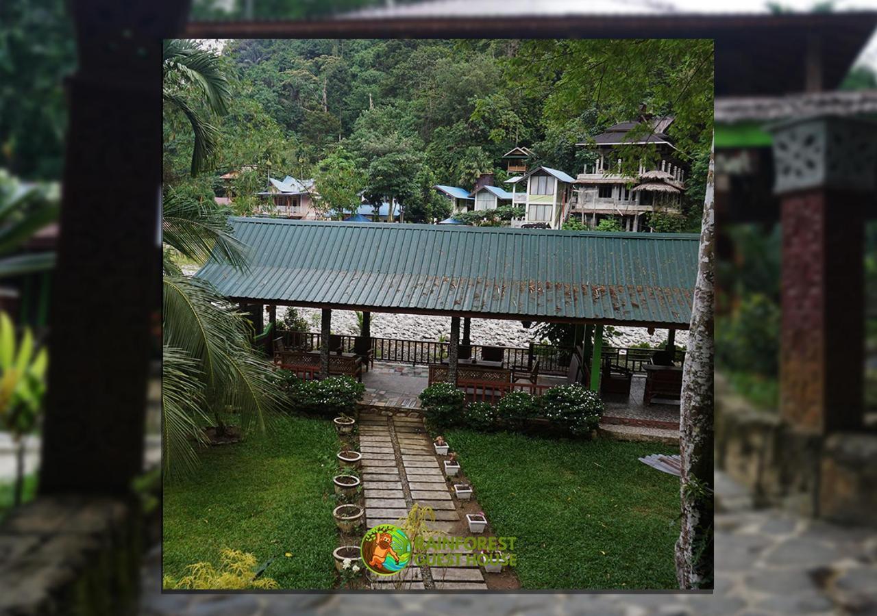 Rain Forest Guest House And Jungle Trekking Bukit Lawang Zewnętrze zdjęcie