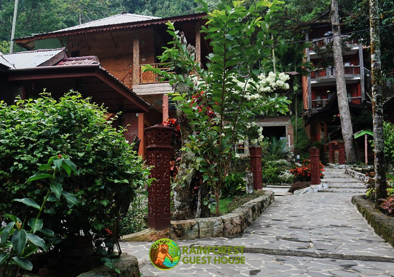 Rain Forest Guest House And Jungle Trekking Bukit Lawang Zewnętrze zdjęcie