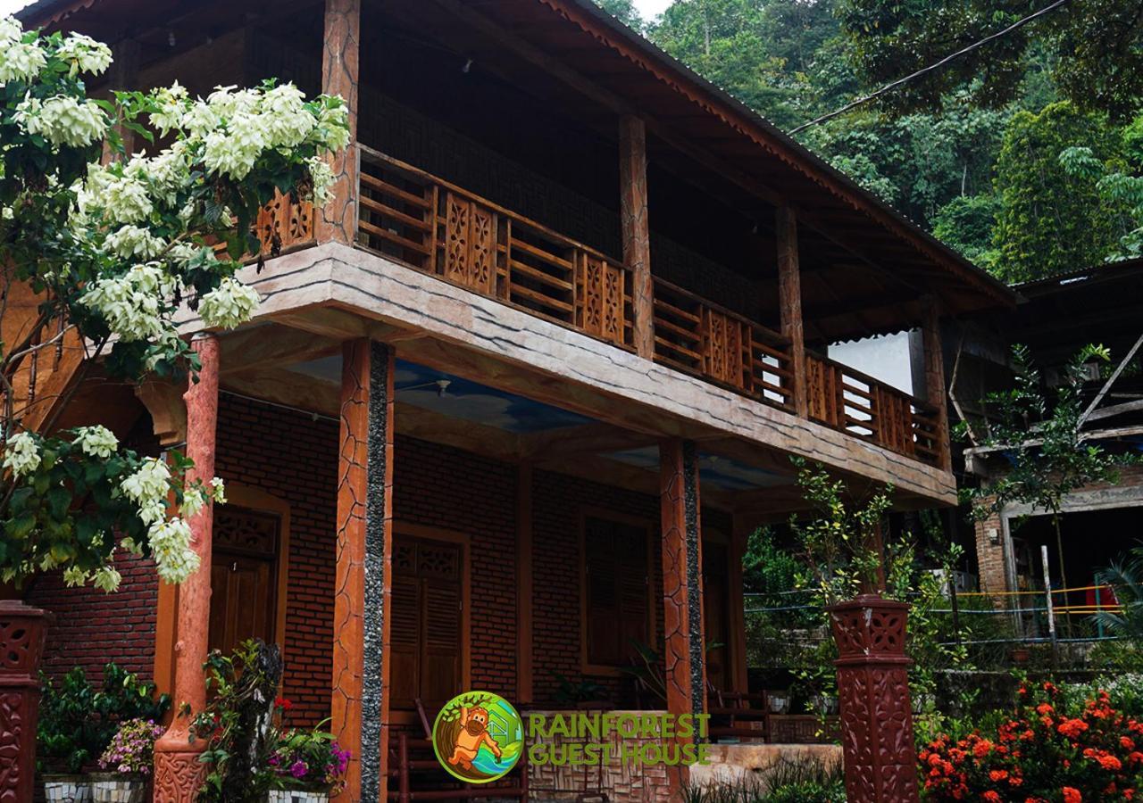 Rain Forest Guest House And Jungle Trekking Bukit Lawang Zewnętrze zdjęcie