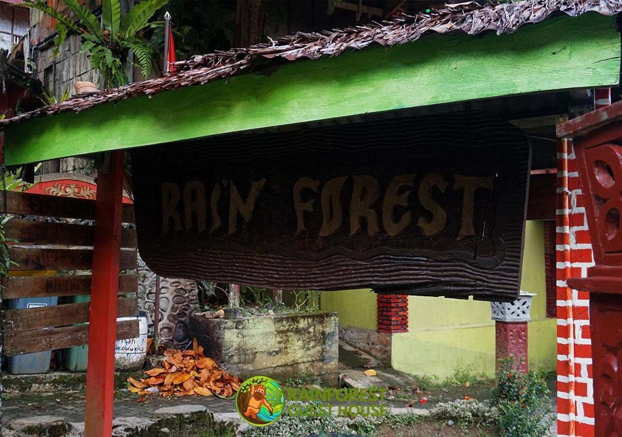 Rain Forest Guest House And Jungle Trekking Bukit Lawang Zewnętrze zdjęcie
