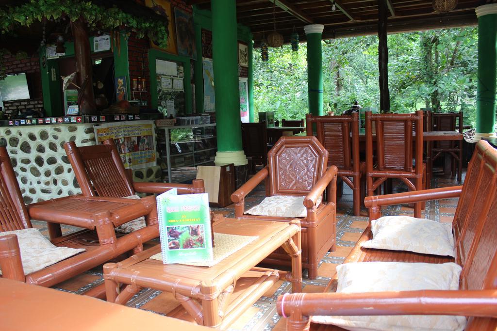 Rain Forest Guest House And Jungle Trekking Bukit Lawang Zewnętrze zdjęcie