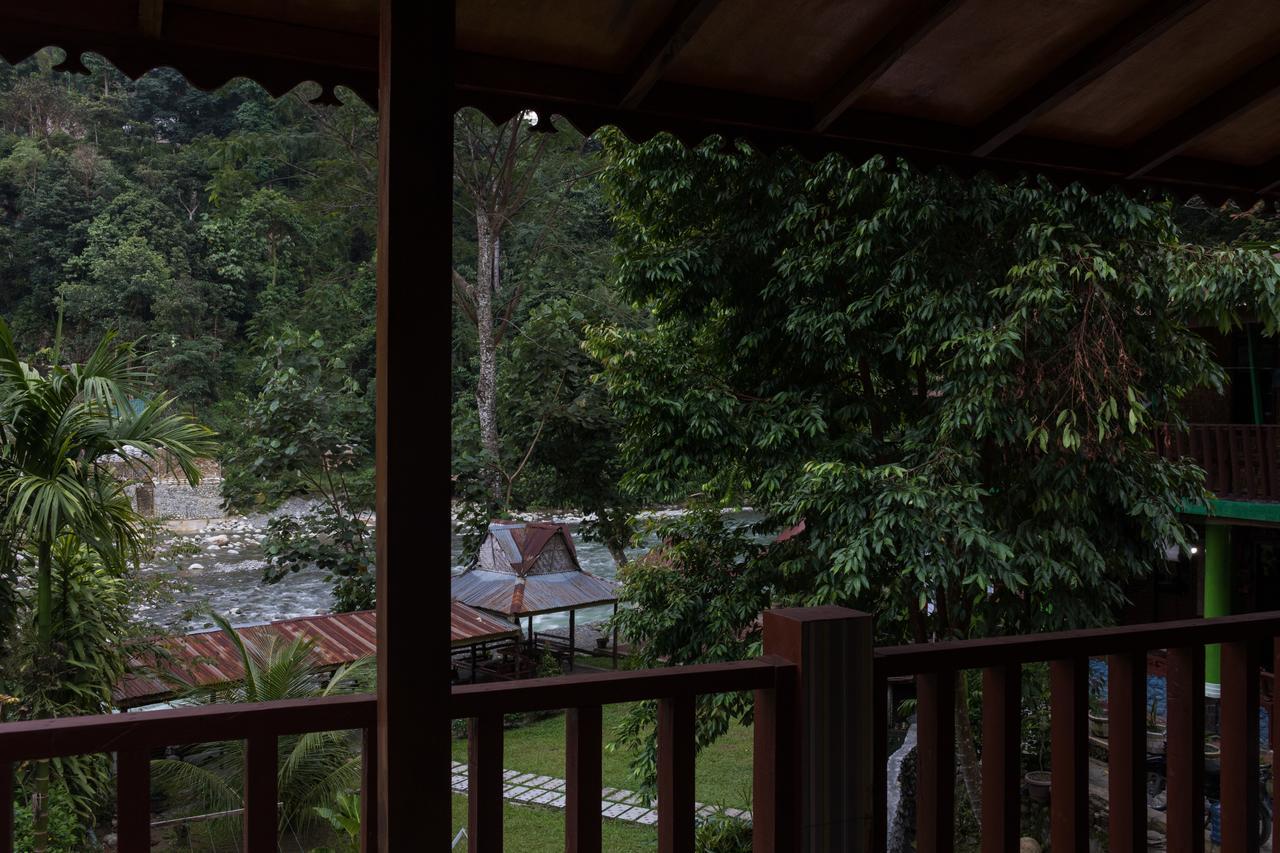 Rain Forest Guest House And Jungle Trekking Bukit Lawang Zewnętrze zdjęcie
