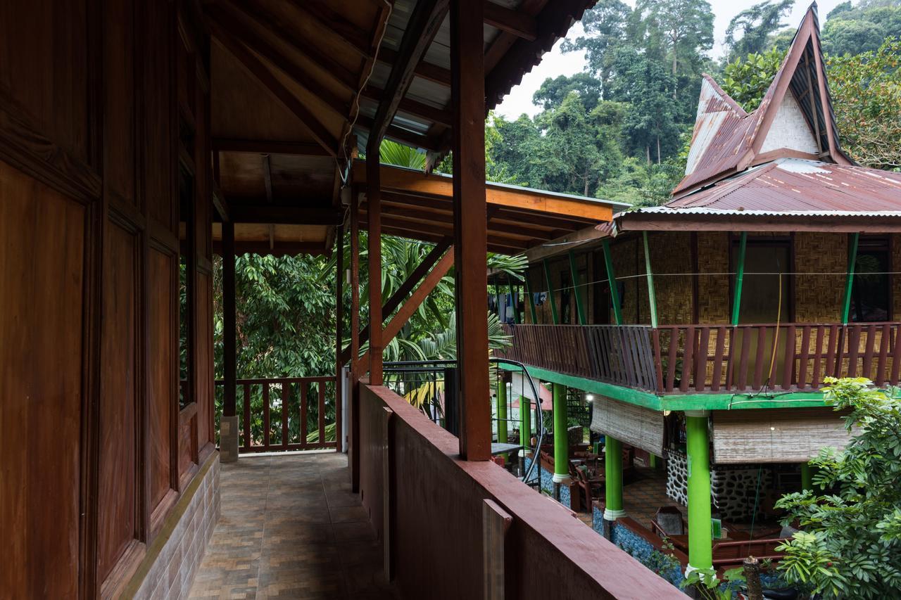 Rain Forest Guest House And Jungle Trekking Bukit Lawang Zewnętrze zdjęcie