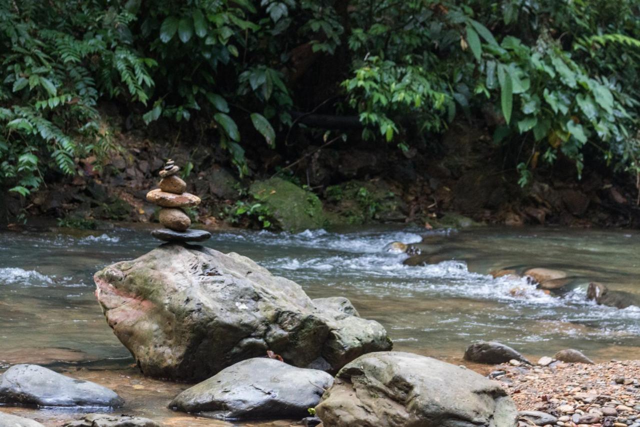 Rain Forest Guest House And Jungle Trekking Bukit Lawang Zewnętrze zdjęcie