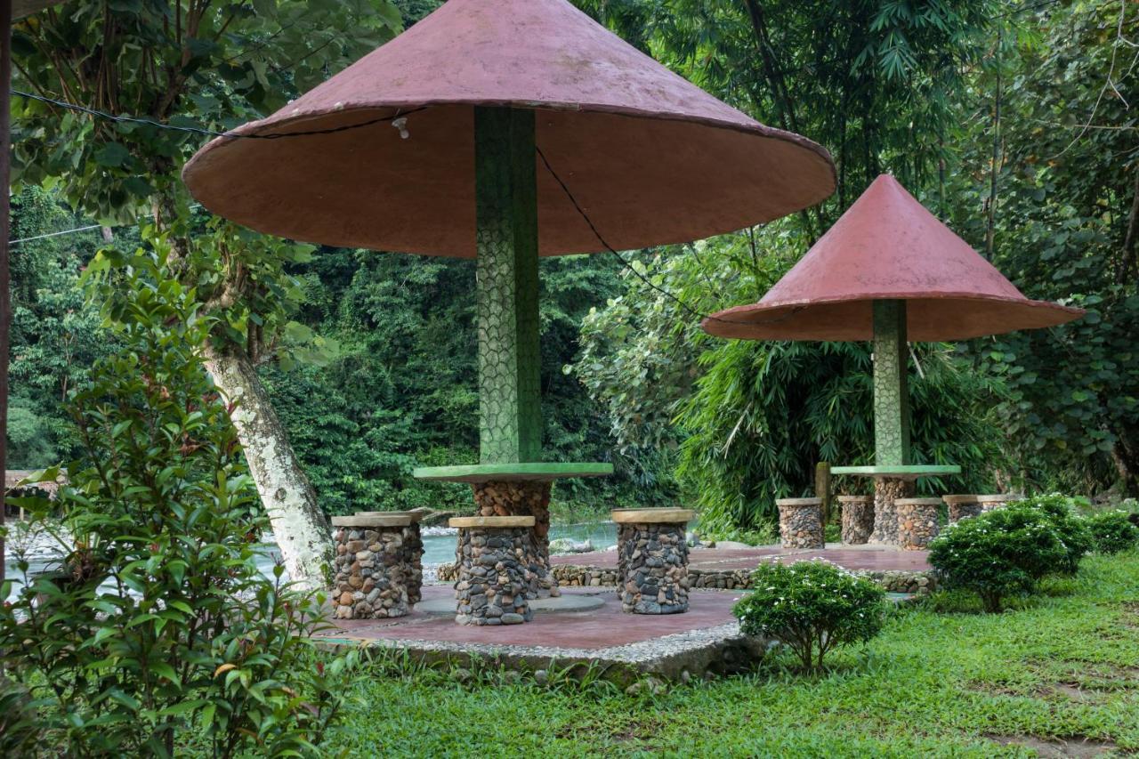 Rain Forest Guest House And Jungle Trekking Bukit Lawang Zewnętrze zdjęcie